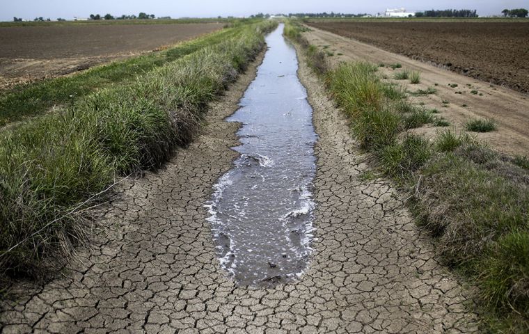 Los suelos uruguayos carecen de precipitaciones adecuadas desde el invierno, cuando también llovió menos de lo habitual.