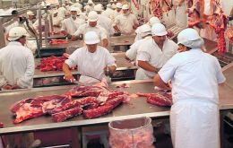 Una caída en las ventas de carne bovina deshuesada congelada explicó la baja en los resultados generales