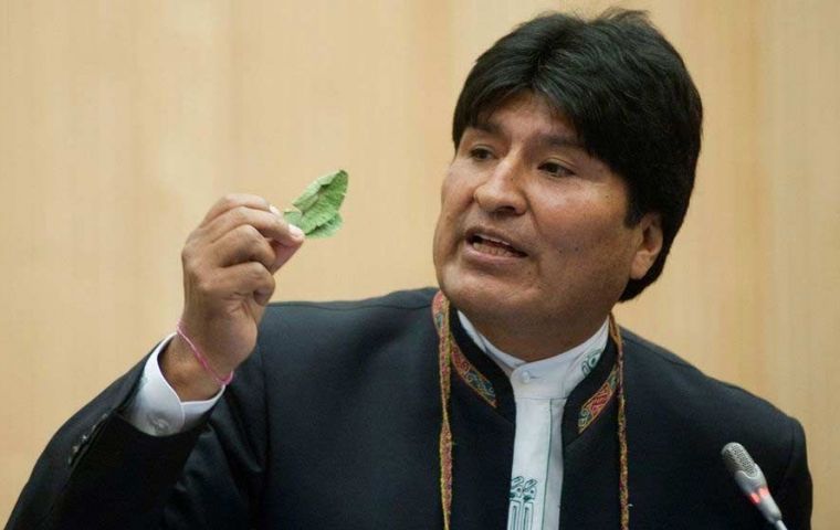 Se espera que los cocaleros respalden la iniciativa de Morales