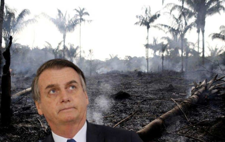 La deforestación dio un giro para peor con el expresidente Jair Bolsonaro