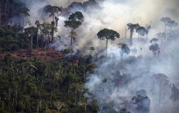 “La mayor parte del fuego en la vegetación es de origen antropogénico, humano, no es de origen natural”, subrayó Arruda