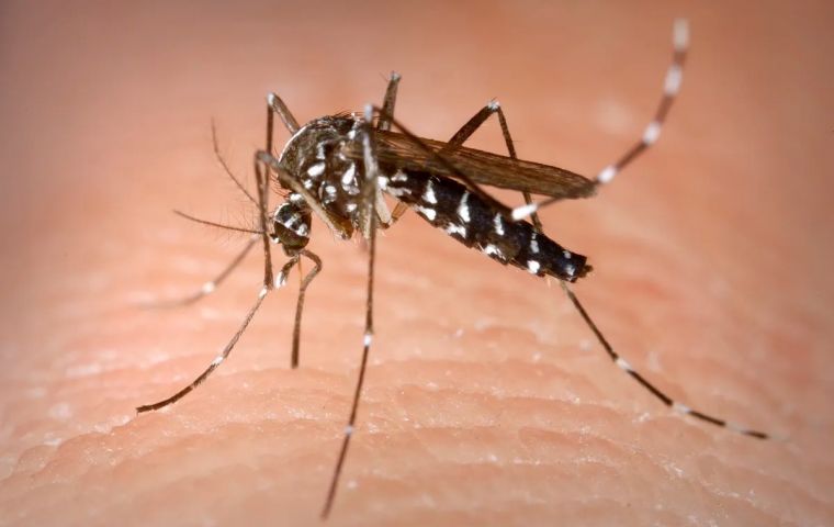 “Puede ser doloroso a nivel articular pero [el chikungunya] no suele ser una enfermedad grave”, dijo Rando