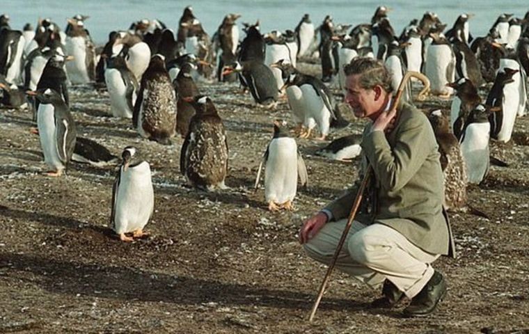 La postal clásica de Carlos entre los pingüinos