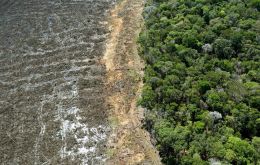 De enero a mayo de este año, hubo una caída del 31% en la deforestación”, dijo João Paulo Capobianco en una conferencia de prensa.