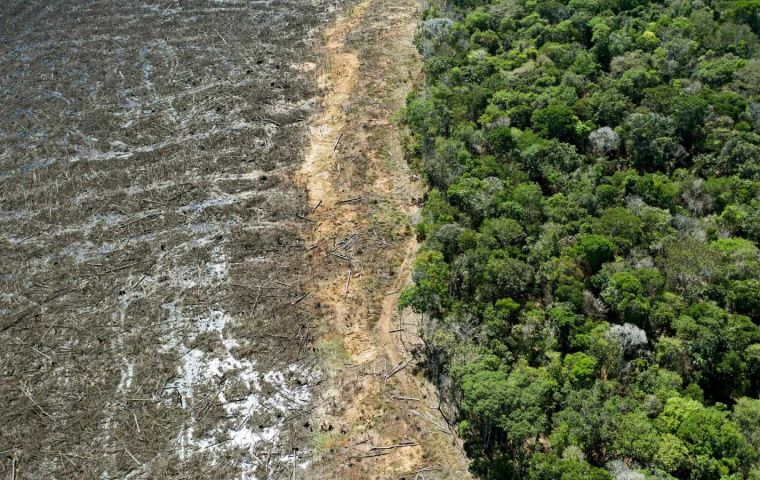 De enero a mayo de este año, hubo una caída del 31% en la deforestación”, dijo João Paulo Capobianco en una conferencia de prensa.