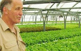Por décadas Stanley Growers ha suministrado verduras, legumbres y frutas frescas a la capital Stanley