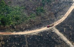Durante los dos primeros mandatos de Lula, la pérdida de bosques había disminuido considerablemente 