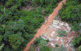 “La deforestación estaba aumentando exponencialmente, pero ahora hay una tendencia constante a la baja en la deforestación de la Amazonia”, dijo la Ministra Silva