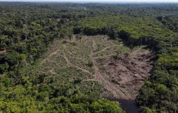 Si la reforestación hubiera comenzado en 2016, habría requerido una inversión de unos 10.700 millones de dólares, se explicó