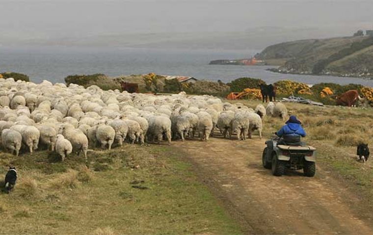 “Creo que existe una masiva discrepancia, que se agranda, entre quienes son ricos  y quienes son pobres en las Falklands.”