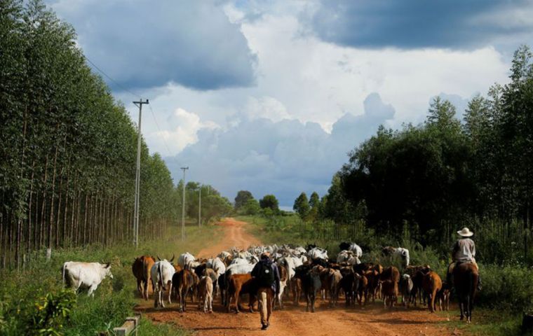 Argentina concentró casi el 89% de las exportaciones paraguayas de soja