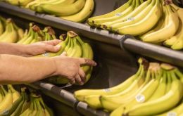 Massa ordenó priorizar el pago de bananas, explicó Fanego