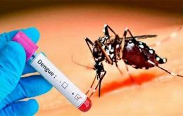 Más de 6.000 identificaciones virales de dengue se han hecho este año, con un único caso del tipo 4  