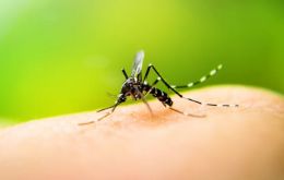 Dengue mata a un hombre en la provincia argentina de Corrientes