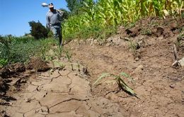Fruticultura y horticultura quedaron al margen de la medida por aguaceros que causaron daños a los cultivos en noviembre