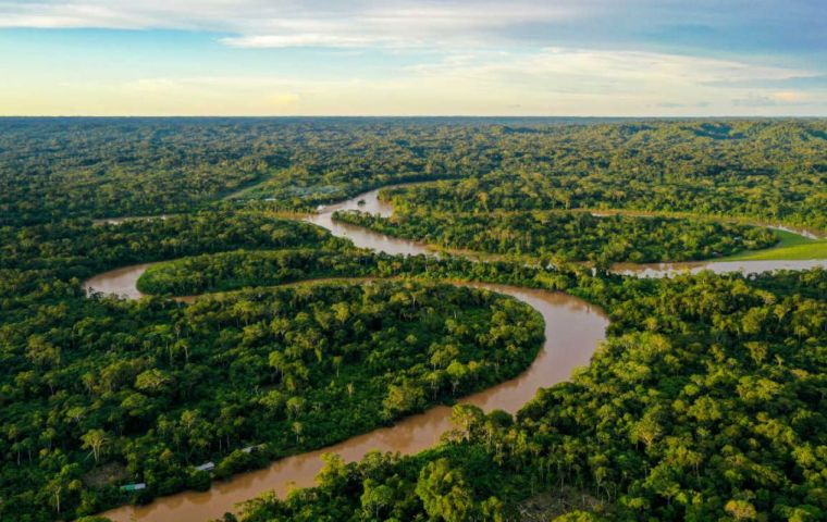 Lula ha promovido políticas medioambientales para frenar la creciente destrucción de la Amazonia
