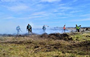 Blasones de las organizaciones medioambientalistas que cooperaron en hacer lo posible en la isla Bird, Falklands Conservation, SAERI y JNCC