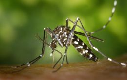 Se trata de un subtipo de dengue diferente al anunciado el pasado viernes, según explicó el Ministerio de Salud uruguayo
