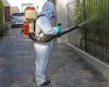 Los especialistas uruguayos prevén un aumento de casos de dengue tras la Semana de Turismo