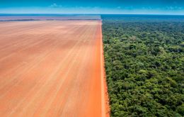 La Amazonia y el Cerrado representaron más del 85% del área deforestada; este último por sí solo representa el 61%.